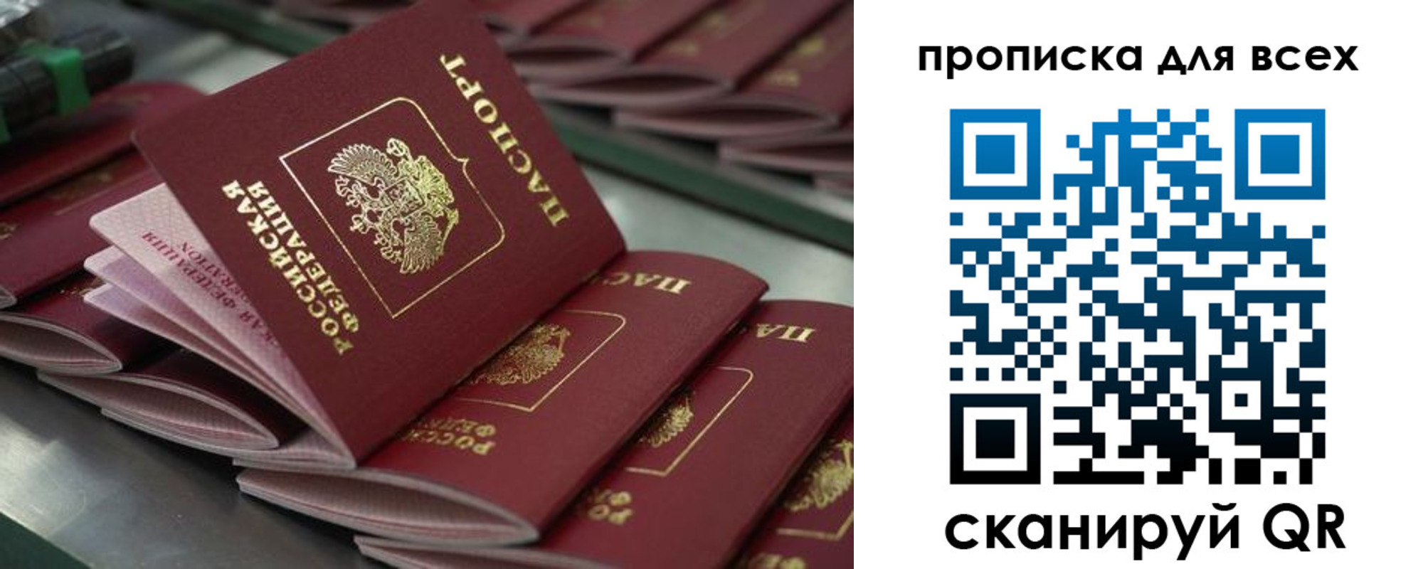 найти адрес прописки в Струнино